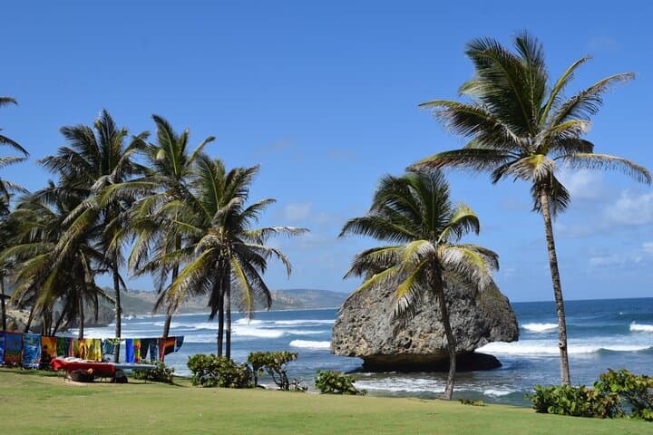 Monkey Feeding and Carlisle Bay Beach Day — Barbados Wildlife Reserve, Bathsheba & Lunch photo 3