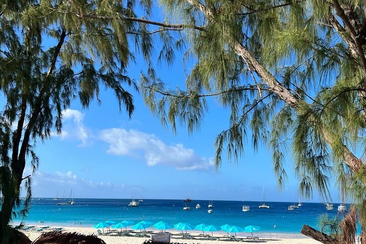Monkey Feeding and Carlisle Bay Beach Day — Barbados Wildlife Reserve, Bathsheba & Lunch photo 5