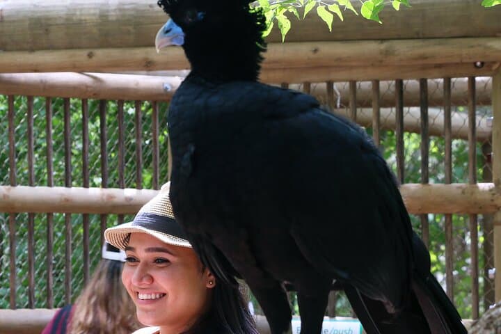 Barú Aviary and Playa Blanca Day Trip from Cartagena photo 3