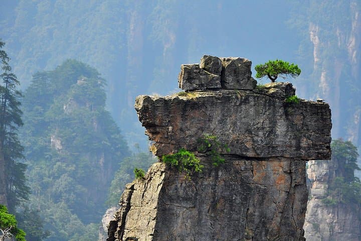 Full-Day Zhangjiajie Forest Park VIP Private Tour — Avatar Peaks & Bailong Elevator photo 4