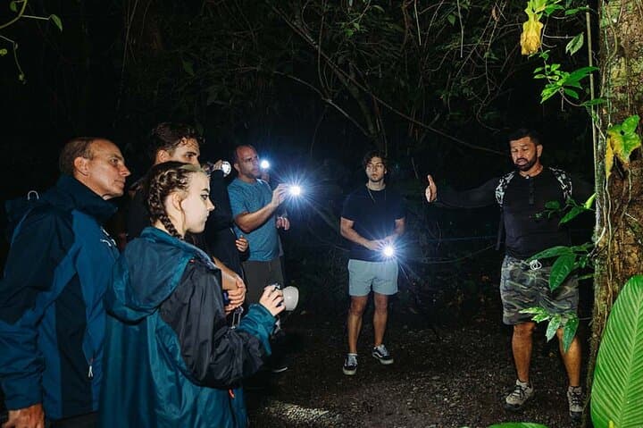 Guanacaste Night Wildlife Tour — Guided Jungle Walk & Miravalles Hot Springs photo 2