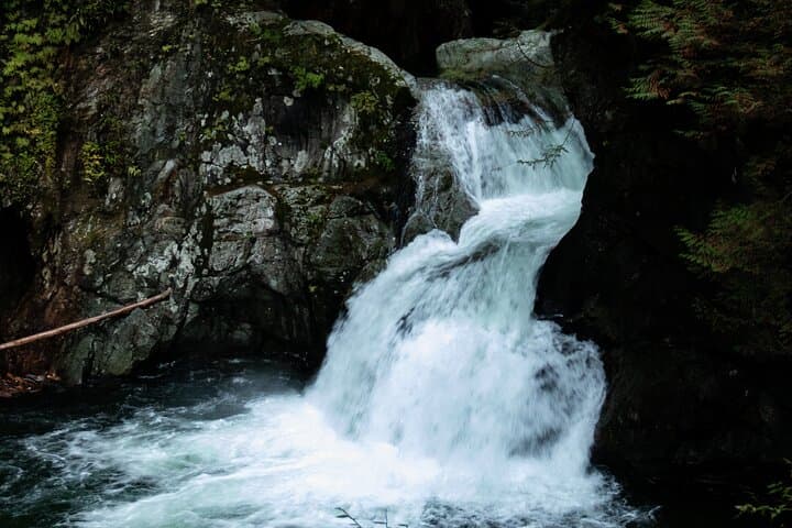 Private North Shore Rainforest & Suspension Bridge Hike — Vancouver photo 2