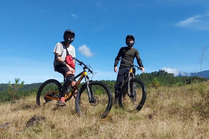 Downhill Mountain Bike Tour to La Carbonera — Salento Wax Palm Ride