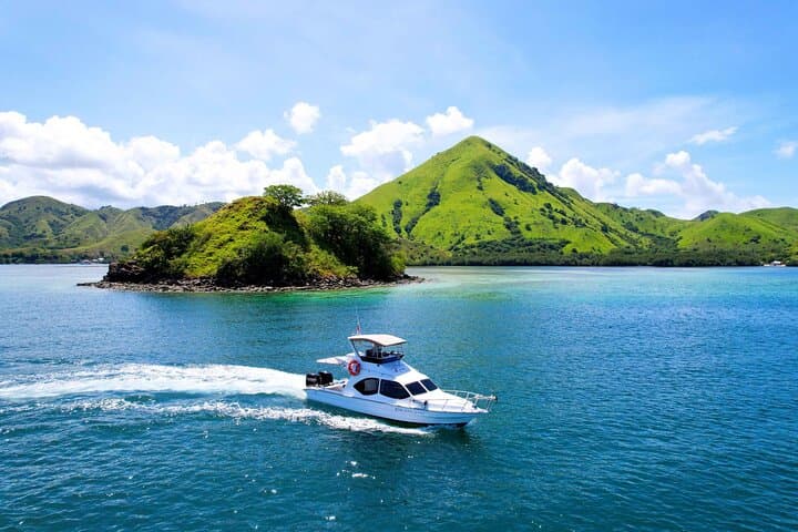 Komodo Island Day Trip from Bali: Dragons, Mantas & Pink Beach photo 2