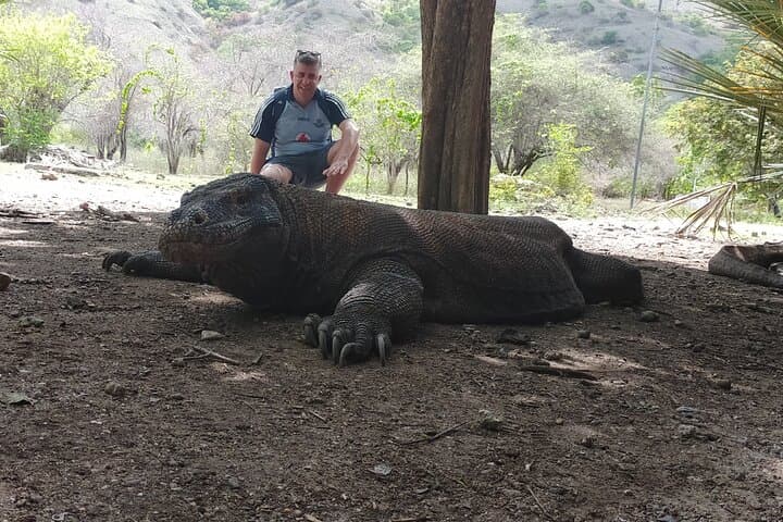Komodo Island Day Trip from Bali: Dragons, Mantas & Pink Beach photo 5