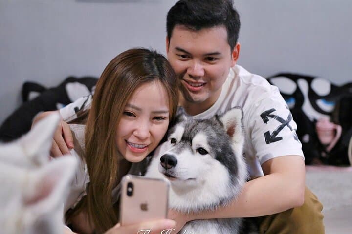 Meet the Huskies of Melaka: Huskitory Interactive Dog Experience photo 2