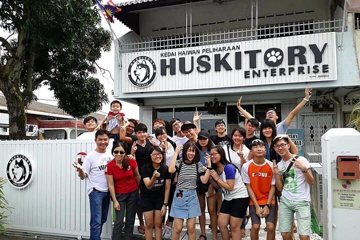 Meet the Huskies of Melaka: Huskitory Interactive Dog Experience photo 4