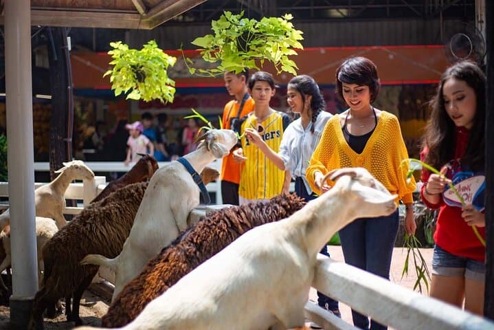 Dream World Bangkok: Unlimited Rides, Snow Town & Family Fun photo 4
