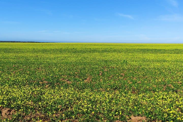 4x4 West Coast Natural Park Tour: Lagos to Cape St. Vincent photo 3