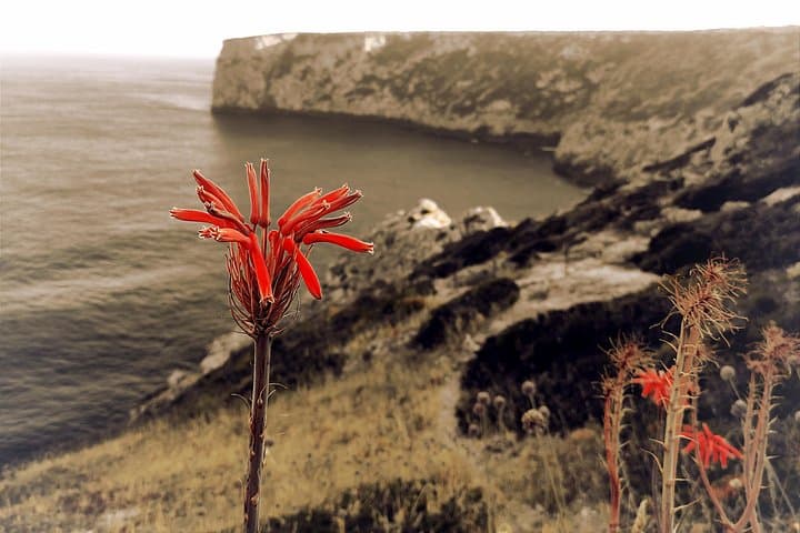 4x4 West Coast Natural Park Tour: Lagos to Cape St. Vincent photo 5