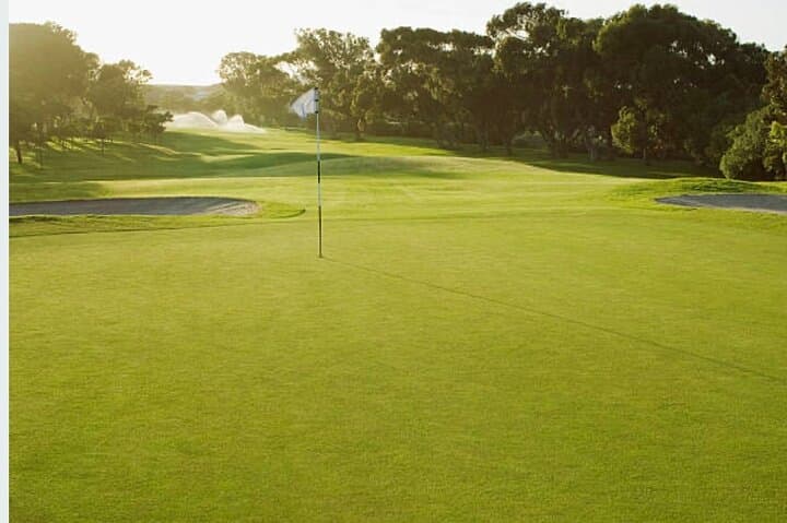 Golf and Wine Adventure in Stellenbosch: Devonvale's Championship Course and Ernie Els Winery Tasting