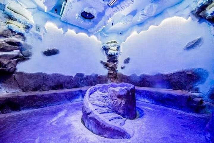 Inside Dubai Aquarium & Underwater Zoo: Penguin Cove, Tunnel & Family Tips photo 3