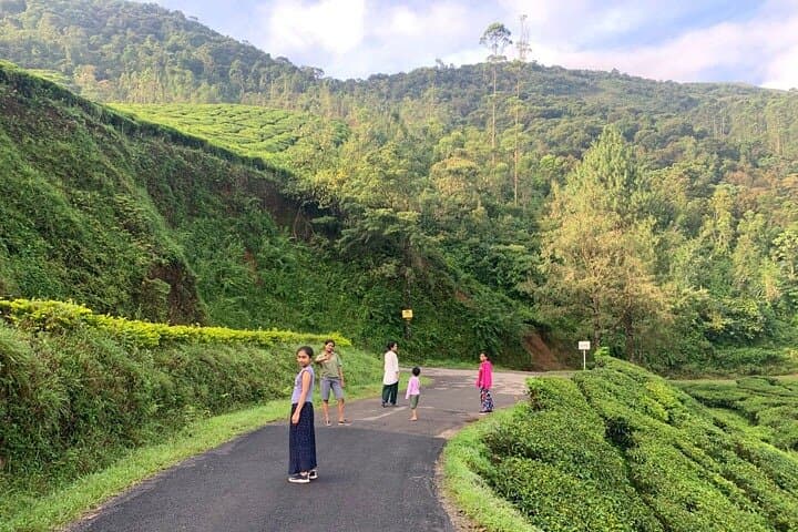 Private One Week Kerala Tour: Munnar Tea Gardens, Periyar Wildlife & Alleppey Backwaters photo 2
