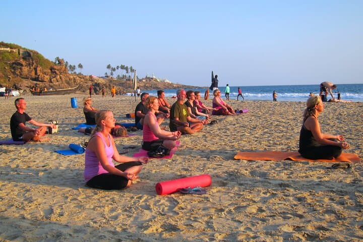 Private One Week Kerala Tour: Munnar Tea Gardens, Periyar Wildlife & Alleppey Backwaters photo 3