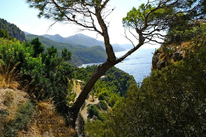 Tramuntana Hidden Gems Scenic Drive: Mallorca Villages & Coastal Viewpoints photo 5