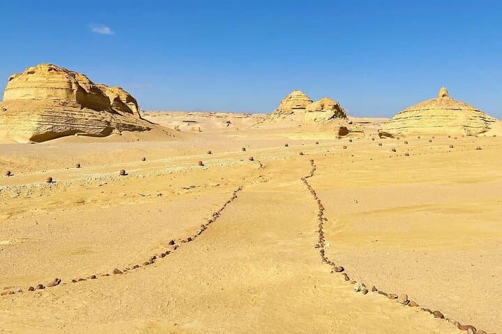 Private Full-Day Fayoum Oasis & Wadi El Rayan Waterfall Tour from Cairo photo 3