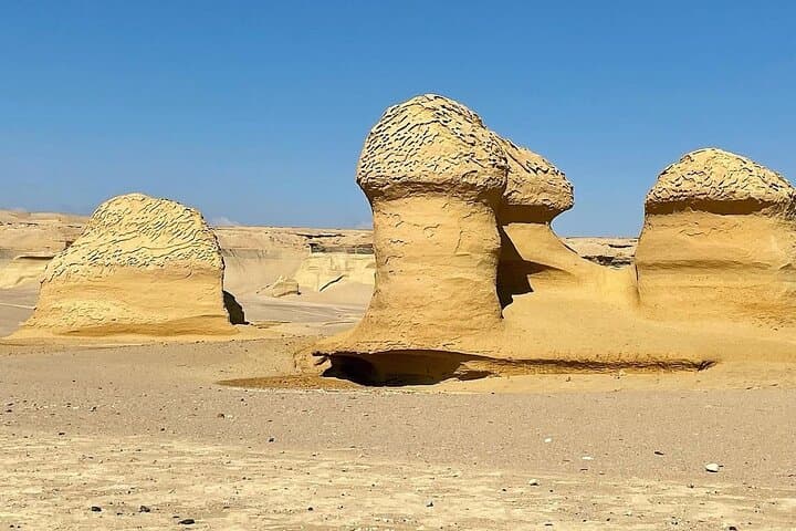 Private Full-Day Fayoum Oasis & Wadi El Rayan Waterfall Tour from Cairo photo 4