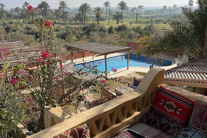 Private Full-Day Fayoum Oasis & Wadi El Rayan Waterfall Tour from Cairo photo 5