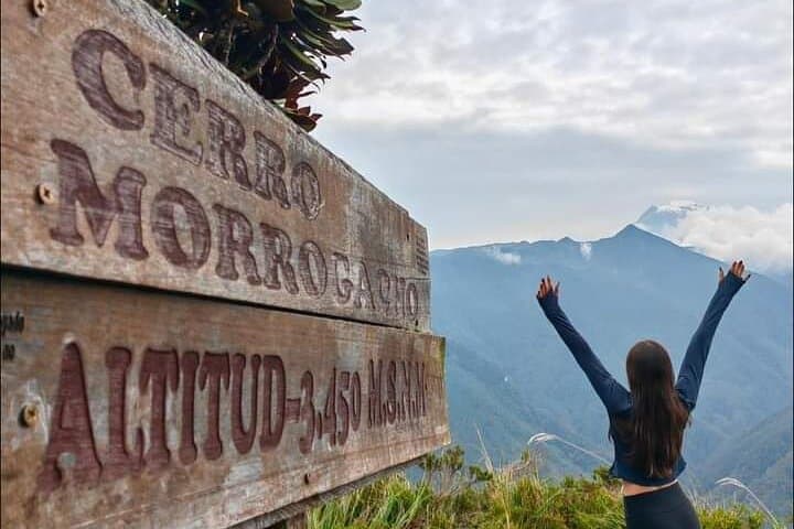 Conquer Cerro Morrogacho: Cocora Valley Hike from Salento photo 2