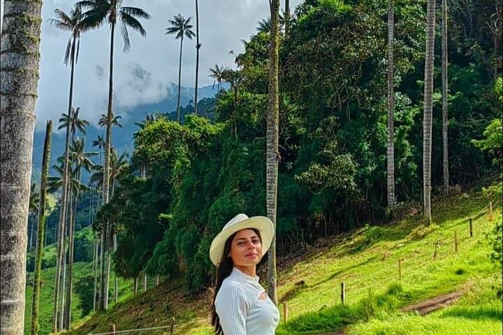 Conquer Cerro Morrogacho: Cocora Valley Hike from Salento photo 3
