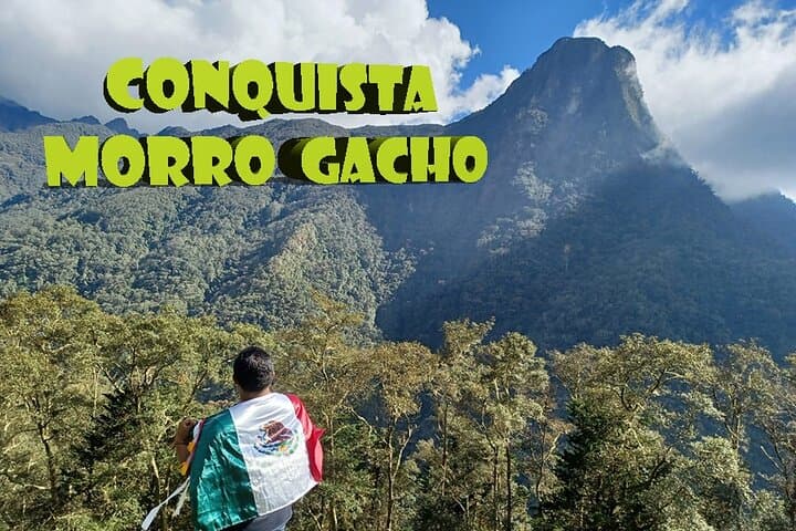 Conquer Cerro Morrogacho: Cocora Valley Hike from Salento