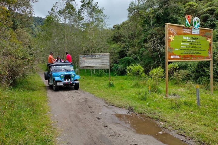 Machín Volcano Hill Tour from Salento — Day Trip to Fumaroles, Palms & Thermal Views