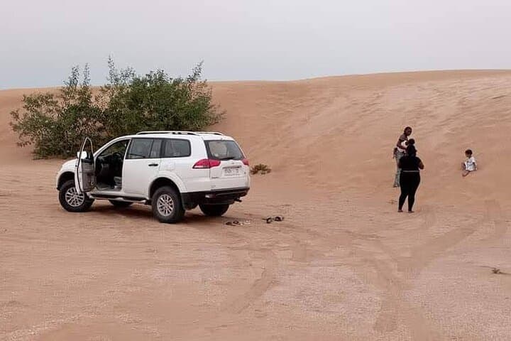 Agadir Close Sahara: Dune Bashing, Berber Villages & Massa Birdwatching
