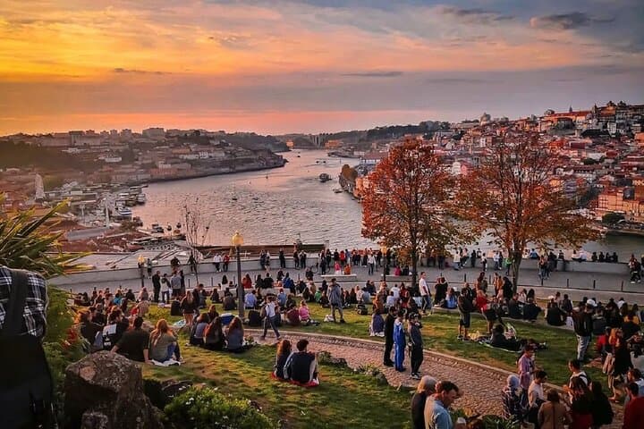 Porto, Gaia & Matosinhos Private Panoramic Tour — Half-Day Guide and Tips photo 3