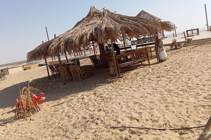Fayoum Oasis Jeep Day Trip: Wadi El Rayan, Whale Valley & Magic Lake from Cairo photo 3