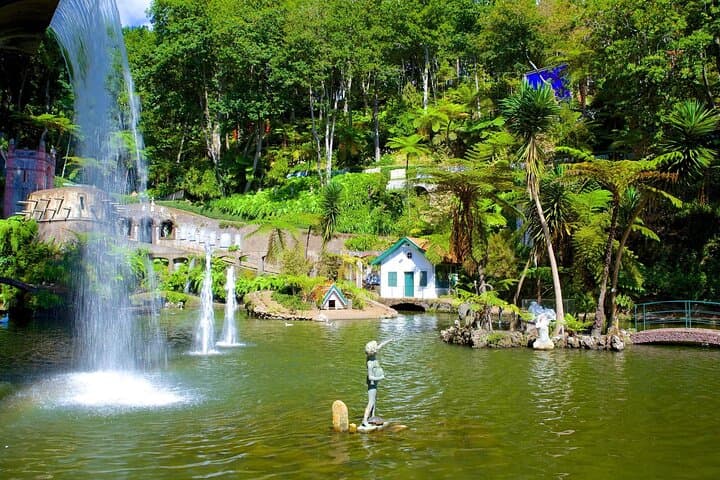 Funchal to Monte Palace Half-Day: Cable Car, Market & Botanical Garden