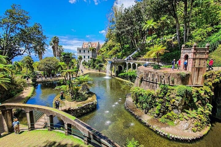 Funchal to Monte Palace Half-Day: Cable Car, Market & Botanical Garden photo 3