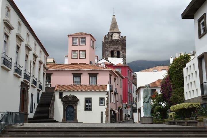 Funchal to Monte Palace Half-Day: Cable Car, Market & Botanical Garden photo 4