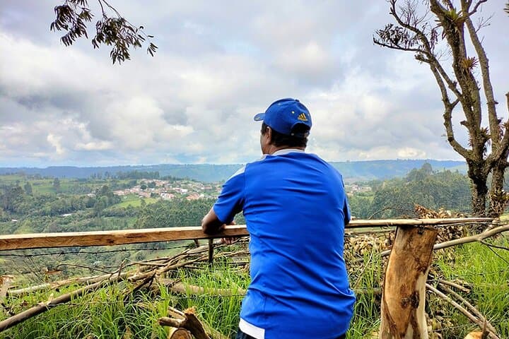 Horseback Ride to Sestillal Waterfall and Salento Viewpoints photo 3