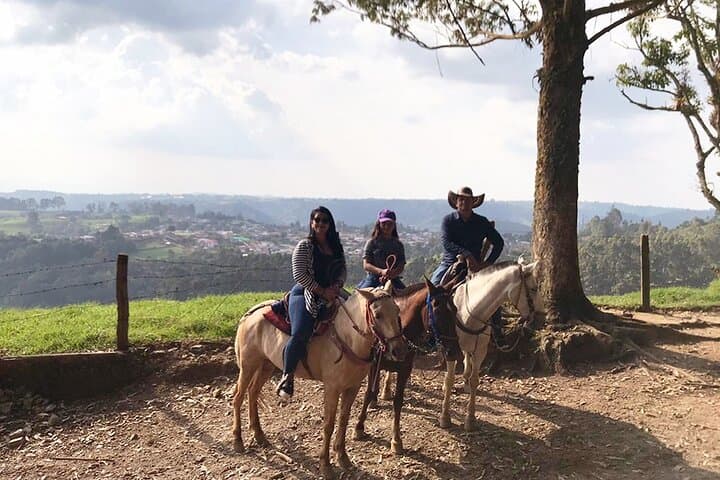 Horseback Ride to Sestillal Waterfall and Salento Viewpoints