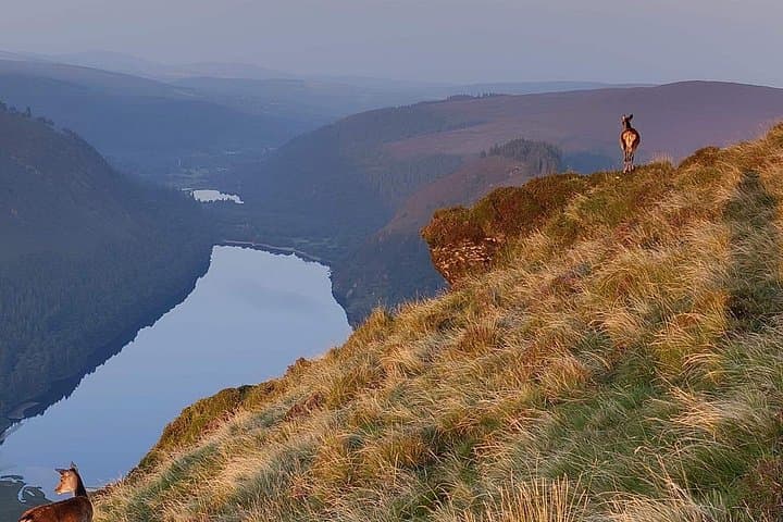 Dublin to County Wicklow Day Tour: Glendalough, Lough Tay & Powerscourt photo 4