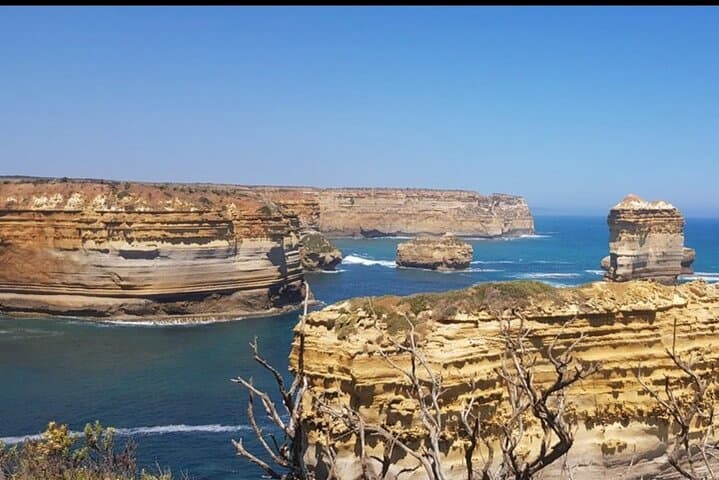 Private Great Ocean Road Tour from Melbourne: Twelve Apostles, Otways & Coastal Sights photo 3