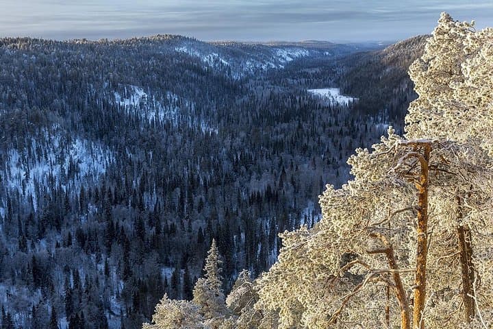 Hike Korouoma Canyon: Frozen Waterfalls & BBQ Day Trip from Rovaniemi photo 4