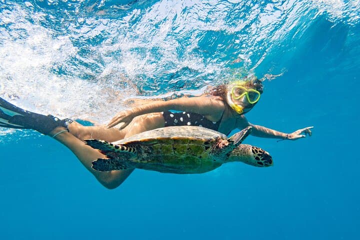 St. Thomas Mangrove Lagoon Kayak & Snorkel: A Shore Excursion Guide photo 6