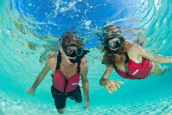Snorkel with Sea Turtles in St. Thomas — Beginner-Friendly Beach Snorkel (2 hrs) photo 6