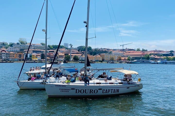 Porto Douro Private River Cruise with Wine Tasting (2-Hour) photo 3