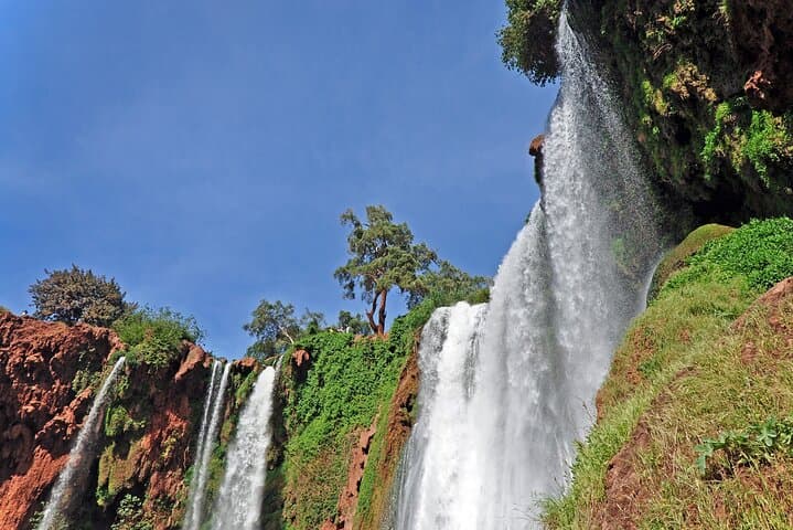 Ouzoud Waterfalls Private Day Trip from Marrakech: Hike, Boat Ride & Barbary Monkeys photo 6