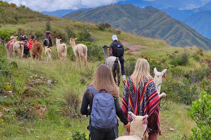 Walk with Llamas and Alpacas in Chinchero — Sacred Valley Hike & Picnic photo 3