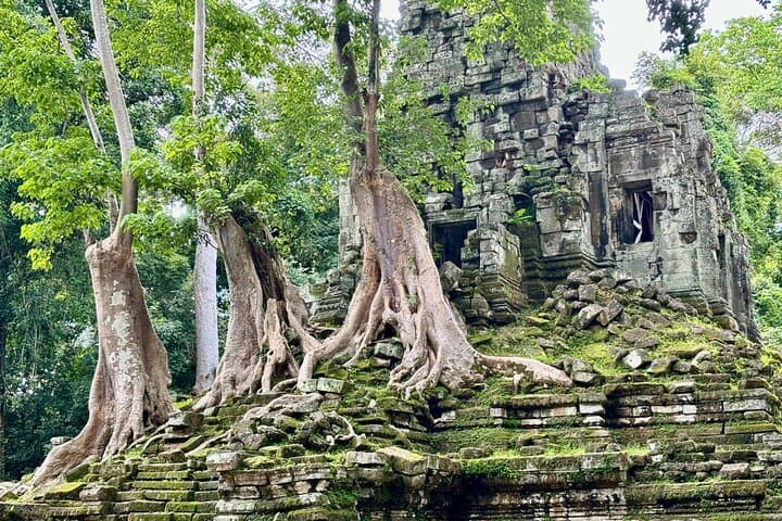 Angkor Iconic Temples Sunrise Tour — Angkor Wat, Ta Prohm & Angkor Thom photo 3