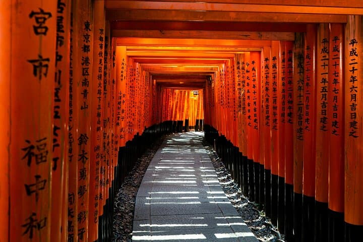 Private Kyoto & Nara Day Tour — Temples, Deer, and Local Insights photo 2