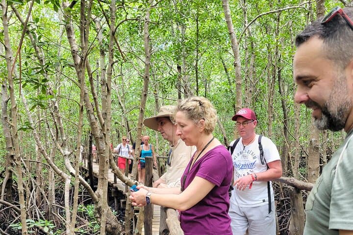 Jozani Forest Walking Tour: Red Colobus, Mangroves & Butterfly Sanctuary