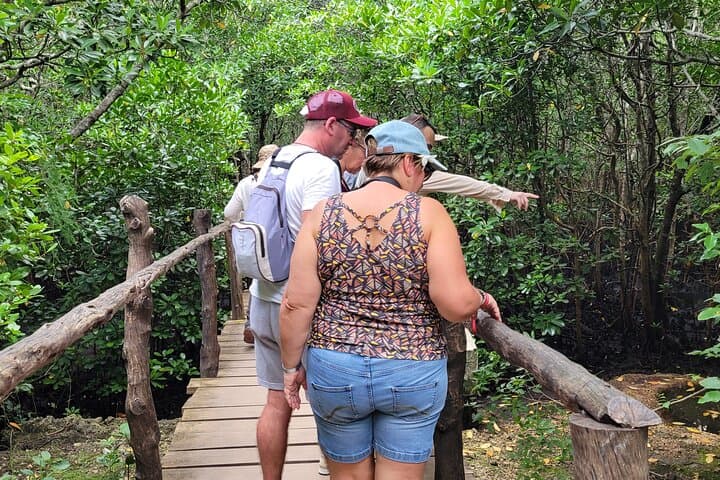 Jozani Forest Walking Tour: Red Colobus, Mangroves & Butterfly Sanctuary photo 5