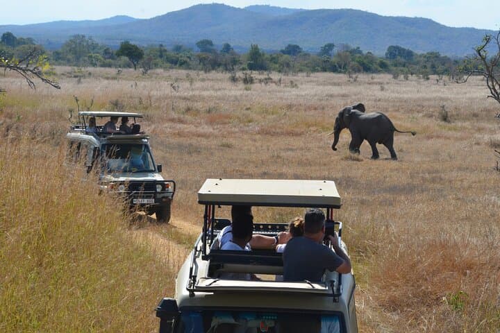 Full-Day Safari to Mikumi National Park from Zanzibar — Big Four Game Drives & Birding photo 4