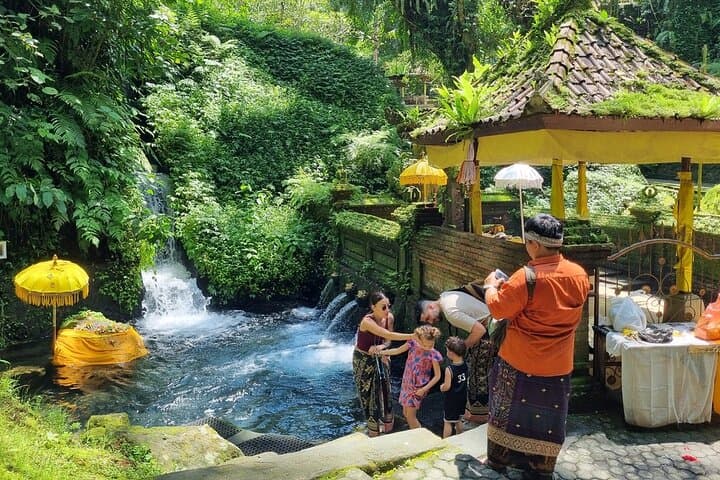 Customizable Bali Private Tour with Multi-Language Driver-Guide