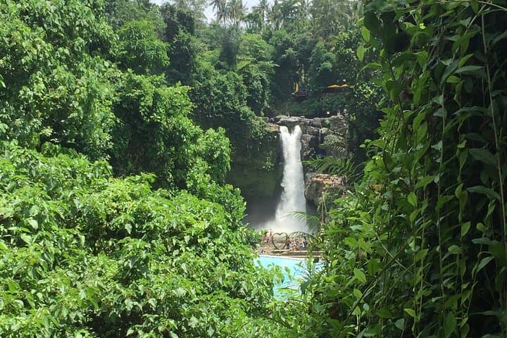 Ubud Monkey Forest and Waterfall Private Day Trip — Monkeys, Temples & Ubud Art Villages photo 6
