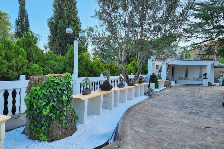 Bonsai Retreat in Calabria: Hands-On Workshops & Guided Nature Tours photo 6